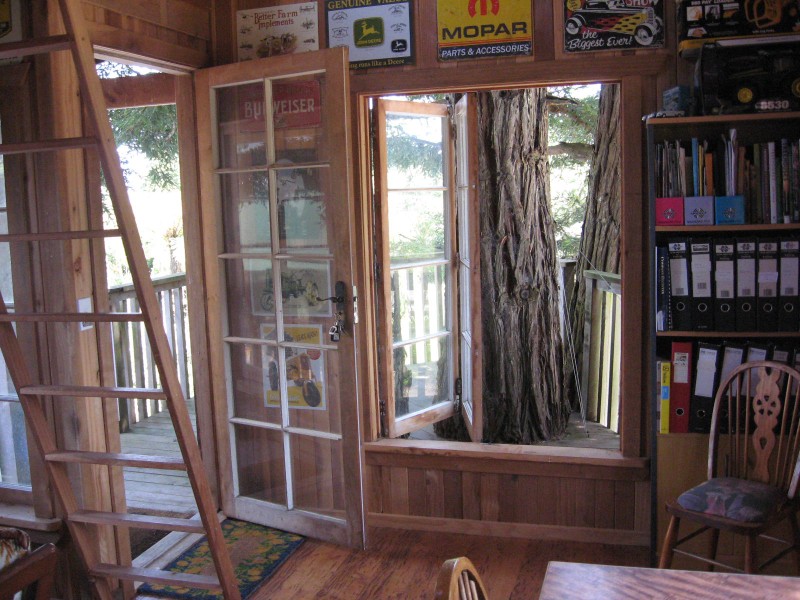 Treehouse interior